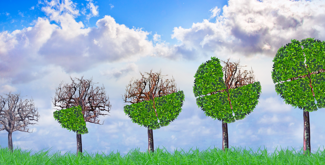 Global Value Improvers: A Value Approach to Delivering ESG Gains